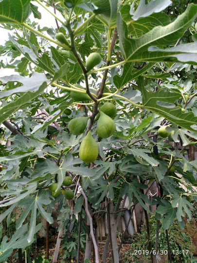 Дом 40 м² на участке 7 сот.