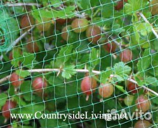 Сетка пластиковая садовая