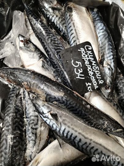 Минтай Горбуша Камбала