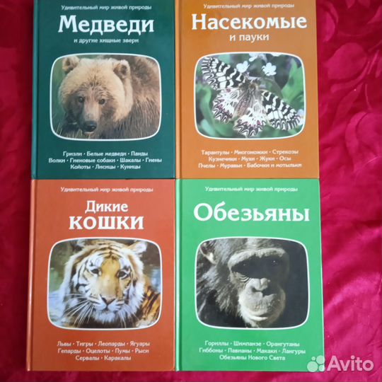 Книги для детей-3