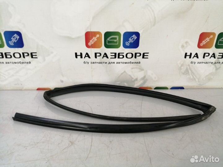 Уплотнительная резинка стекла двери задняя правая