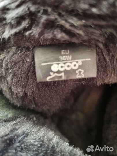 Ботинки женские зимние Ecco 36