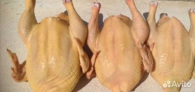 Мясо домашнее кур, индейки, перепелов, сало,майоне