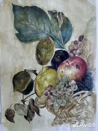 Репетитор по живописи/рисунку