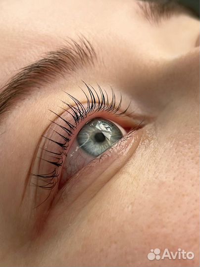 Ламинирование ресниц и бровей, наращивание ресниц