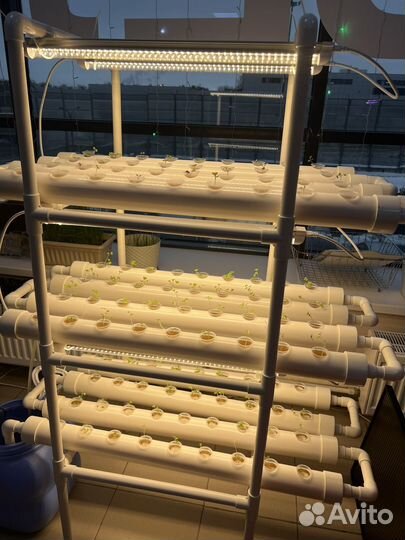 Установка для выращивания зелени и овощей