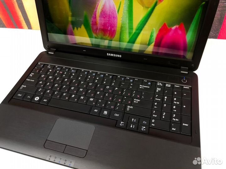 Бюджетный ноутбук Samsung Acer HP Lenovo