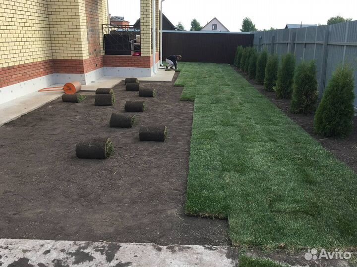 Рулонный газон, Монтаж под ключ, Автополив