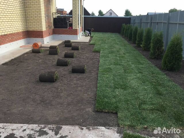 Рулонный газон, Монтаж под ключ, Автополив