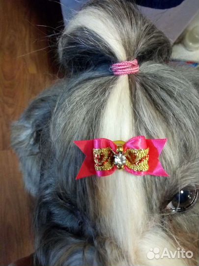 Бантики для йорка, ши-тцу, мальтезе