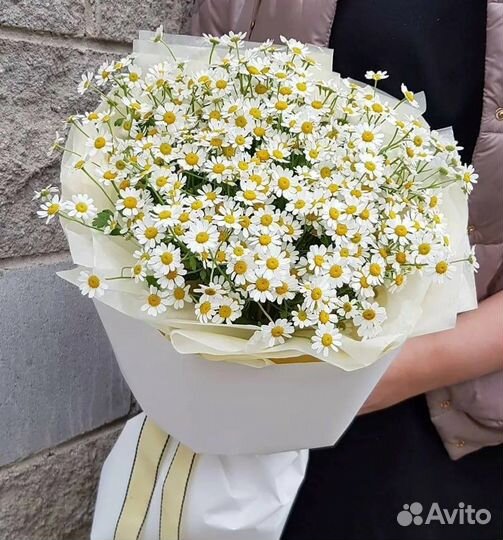 Ромашки цветы букеты/ матриакария/день матери