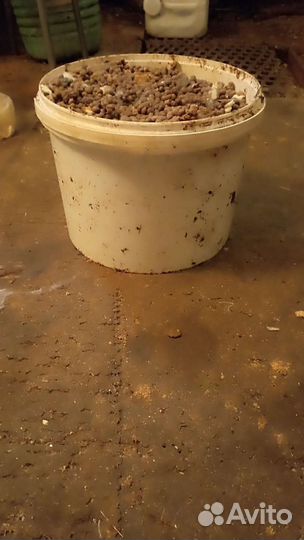 Навоз кроличий и куринный помёт