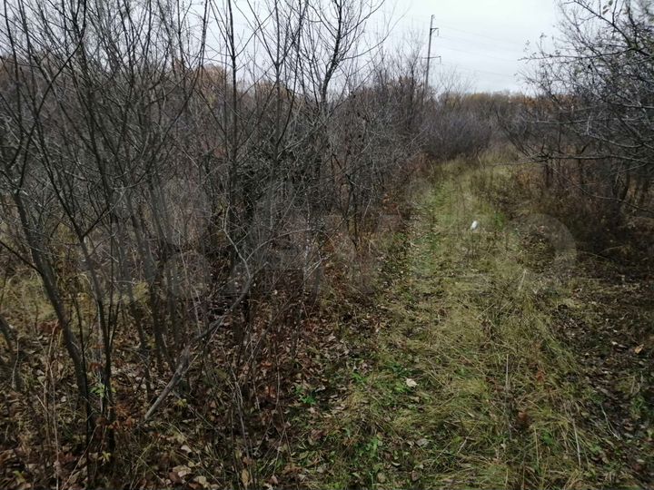 Участок 9 сот. (СНТ, ДНП)