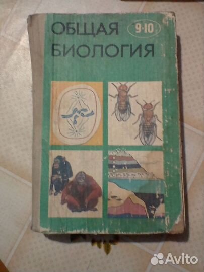 Учебники