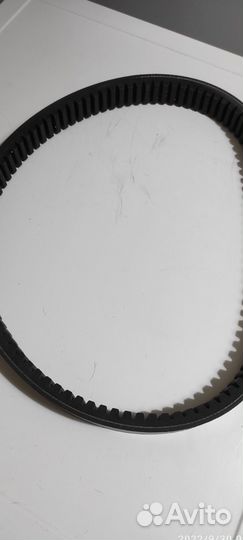 Ремень вариатора Сафари