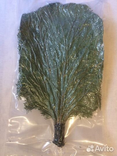 Веники из пихты и можжевельника для бани