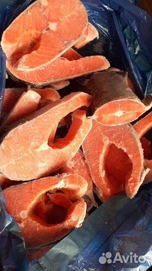 Рыбные деликатесы морепродукты в ассортименте