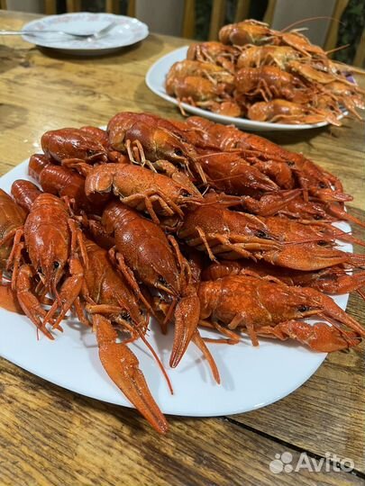 Живые и варенные раки