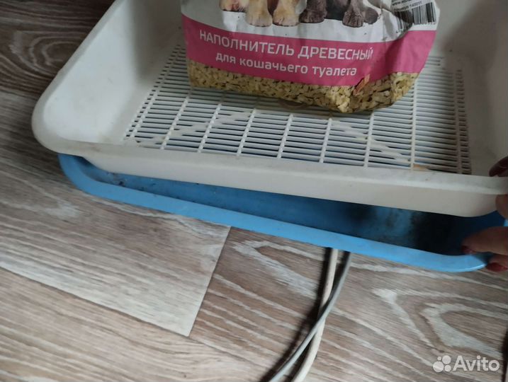 Кошачий лоток
