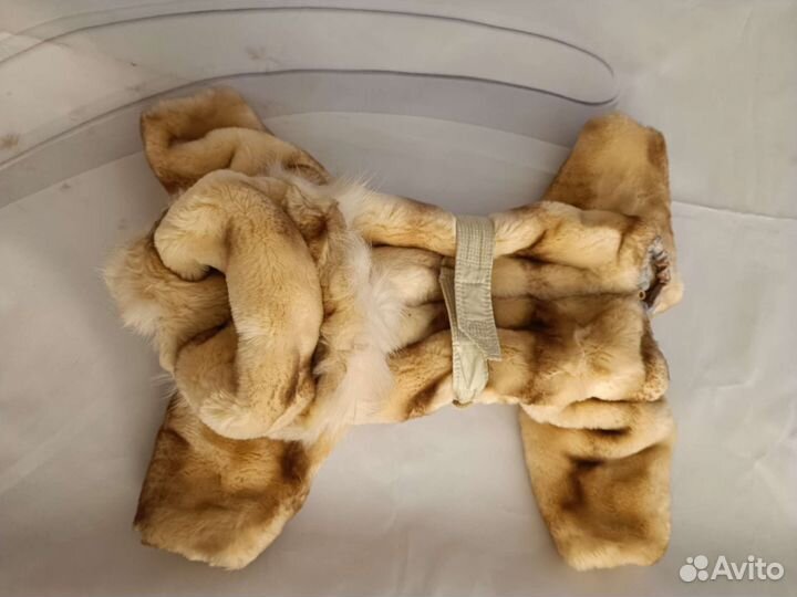 Одежда для средних собак