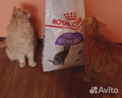 Корм для кошек Royal Canin(Роял Канин) Sterilised