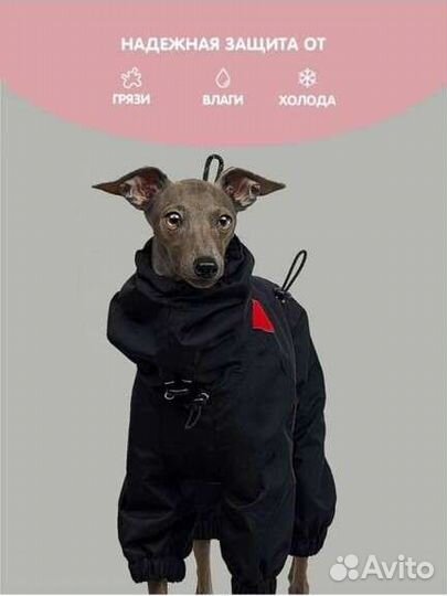 Дождевик для средней собаки