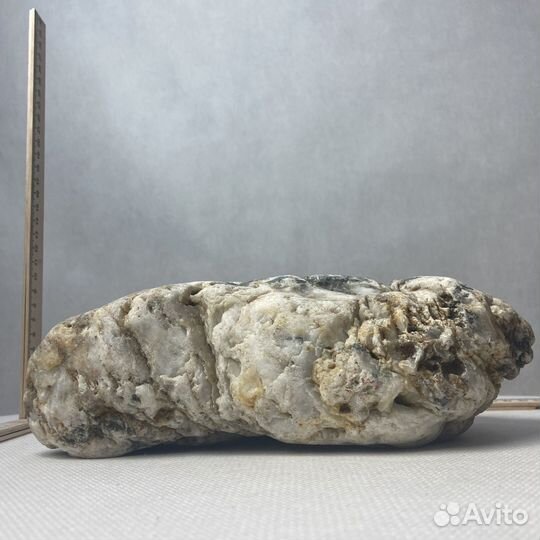 Декор для аквариума 240х95х50