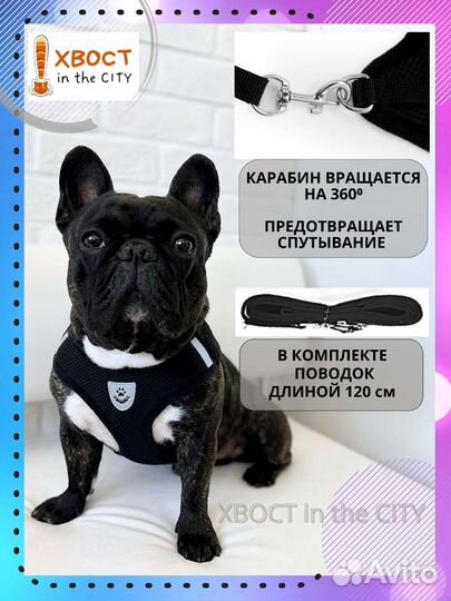 Готовый бизес на вб озон. Шлейки для собак и кошек