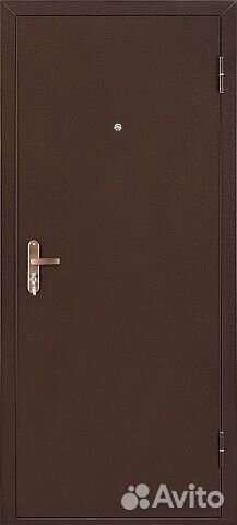 Дверь Профи мет/мет