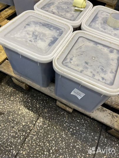 Мёд натуральный эспарцет 2023г оптом