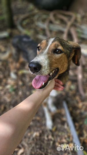 Девочка примерно 2,5 года