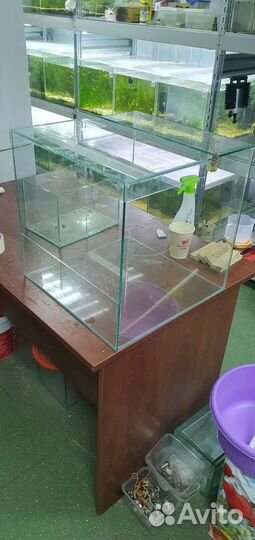 Изготовление и обслуживание аквариумов