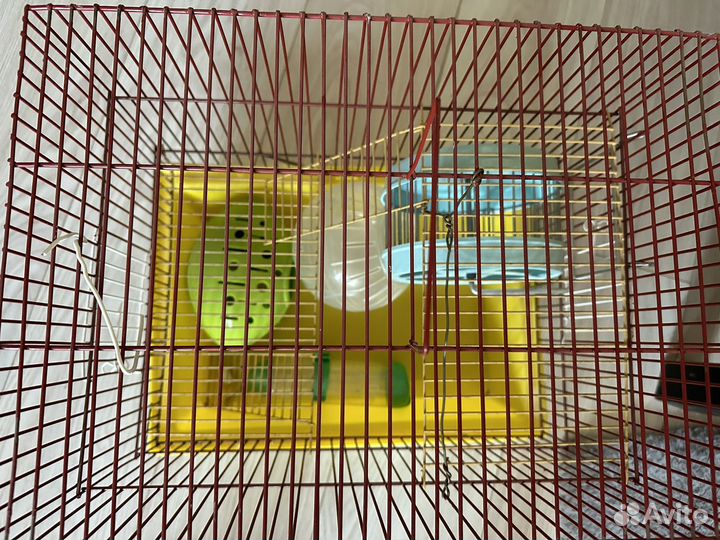 Клетка для грызунов большая