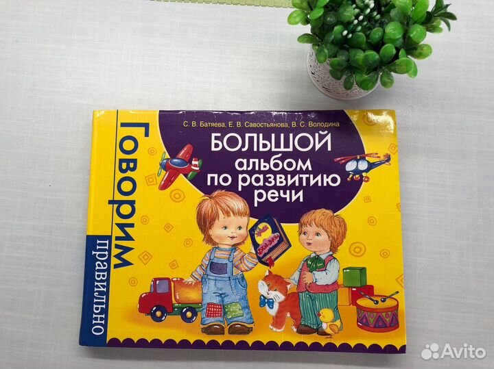 Большой альбом по развитию речи