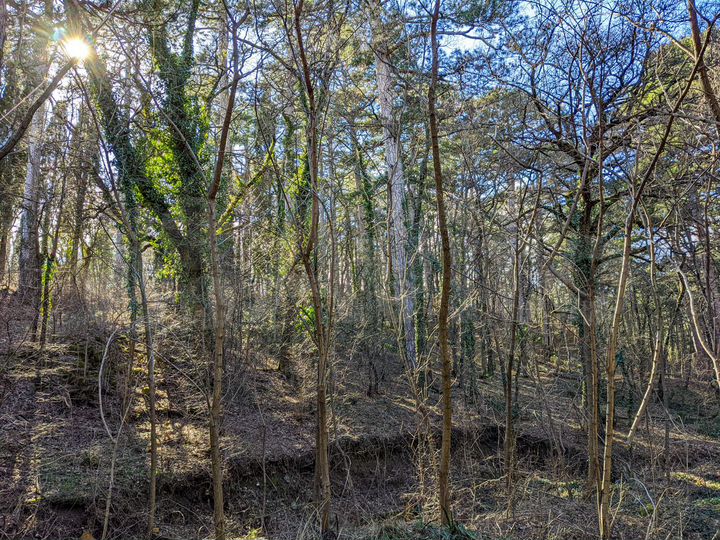 Участок 2,66 га (ИЖС)