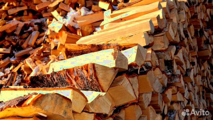 Дрова Береза