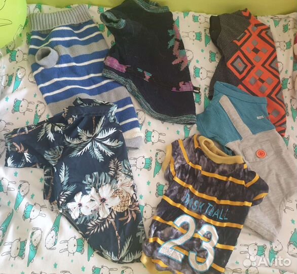 Одежда для средних собак