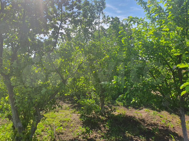 Участок 7,6 сот. (ИЖС)