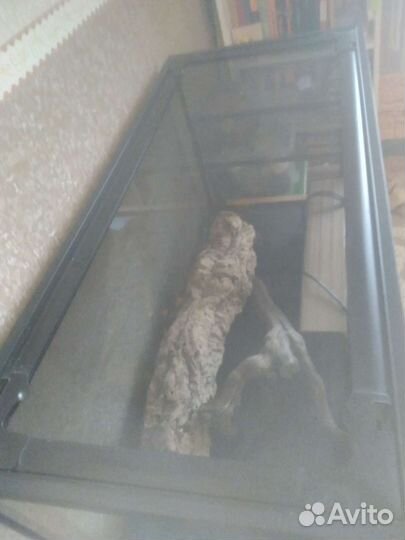 Террариум для рептилий бу