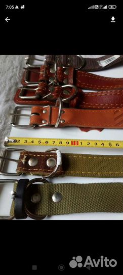 Ошейник для собак