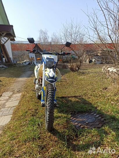 Avantis fx 250 lux