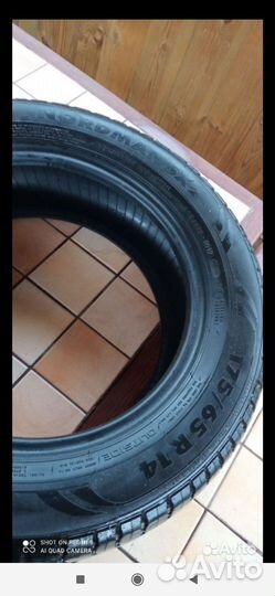 Nokian Tyres Nordman SX2 175/65 R14 82T