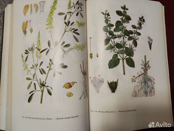 Книга Фитотерапия, Д. Йорданов 1976 г