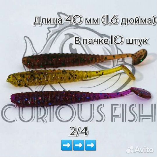 Curious Fish Aji Ringer Shad 1,6 дюйма (4см)