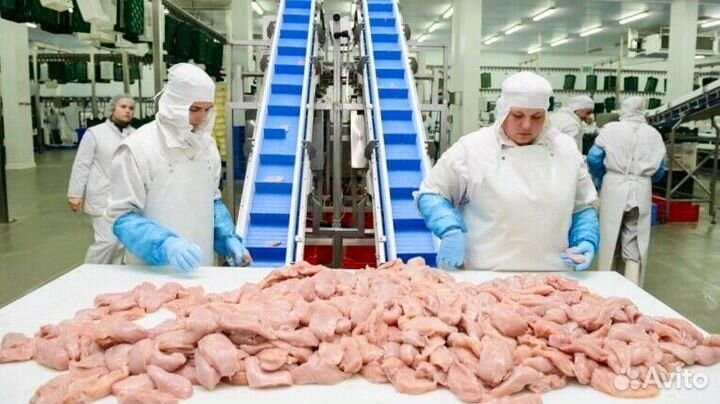 Разнорабочий на мясокомбинат(вахта)