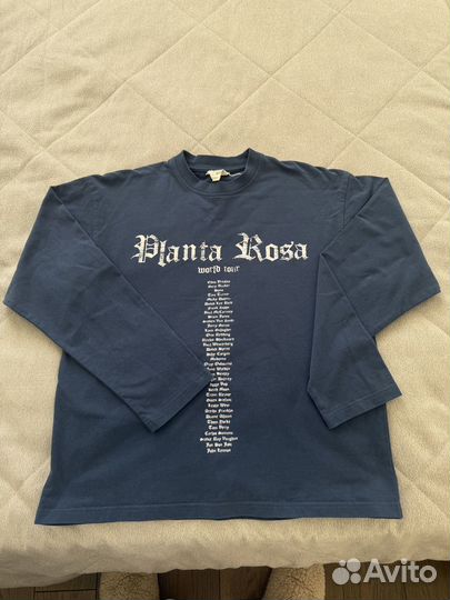 Planta rosa лонгслив