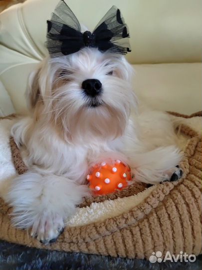 Красивый мальчик