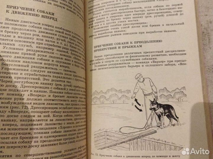 Служебное собаководство