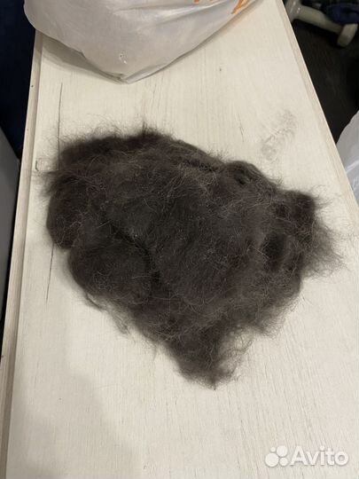 Собачья шерсть пух