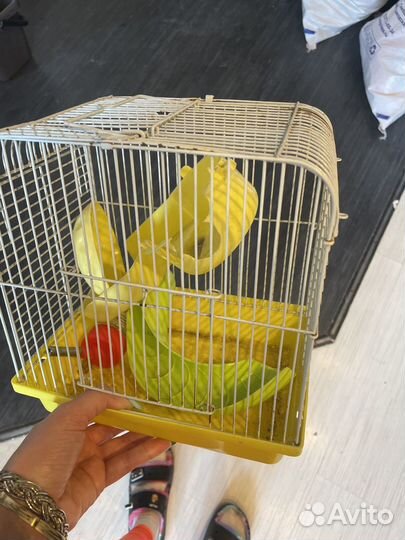 Клетка для хомяка джунгарика